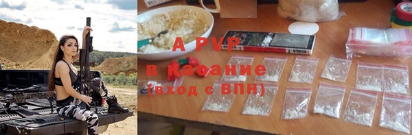 PSILOCYBIN Вязьма