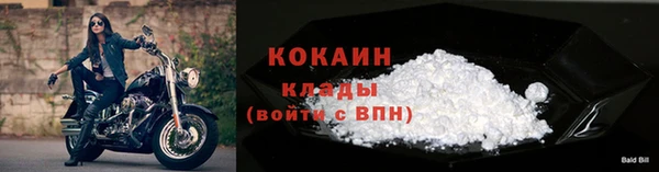 PSILOCYBIN Вязьма