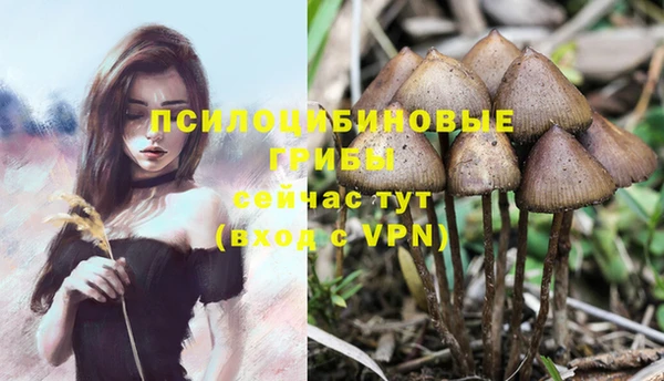 мескалин Волосово