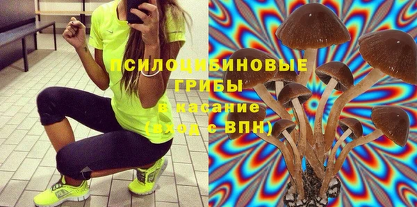 ALPHA PVP Вяземский