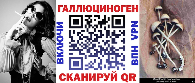 продажа наркотиков  Луга  Псилоцибиновые грибы Cubensis 